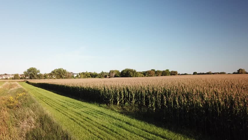 Rural Wisconsin Corn Field Side Profile