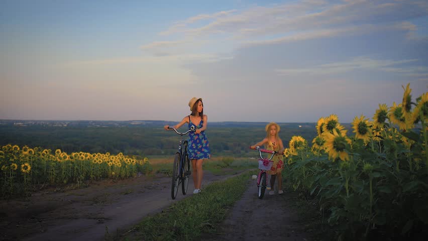 Family on bicycles in nature. Mom and daughter on bicycles on a field of sunflowers. Mother and daughter in hats are walking through sunflowers field. The concept of the family.