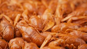 Footage red boiled crawfish closeup rotate on a tray. 4k  video