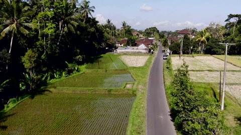 HD aerial drone footage of flying over rice fields in Ubud area, tropical island of Bali.