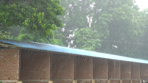 Heavy thunderstorm with rain wind bending trees in residential area at Bago, Myanmar