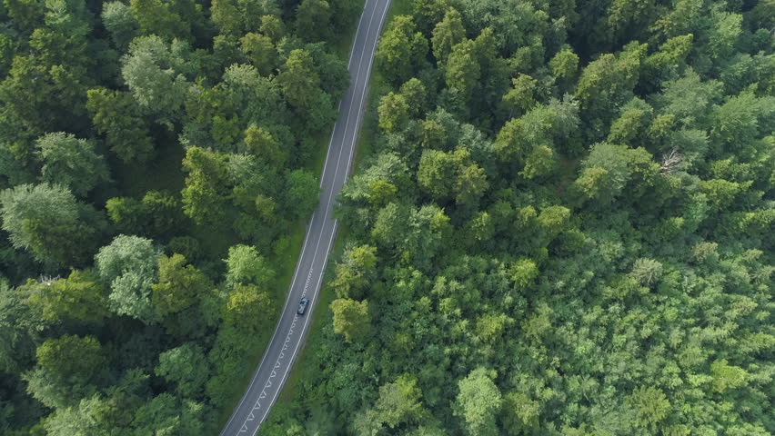 AERIAL, TOP DOWN: Dark colored car driving down an asphalt road crossing the vast forest on a sunny summer day. People on relaxing drive through the idyllic woods in picturesque Slovenian countryside. Royalty-Free Stock Footage #1016302870
