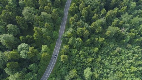 AERIAL, TOP DOWN: Dark colored car driving down an asphalt road crossing the vast forest on a sunny summer day. People on relaxing drive through the idyllic woods in picturesque Slovenian countryside.