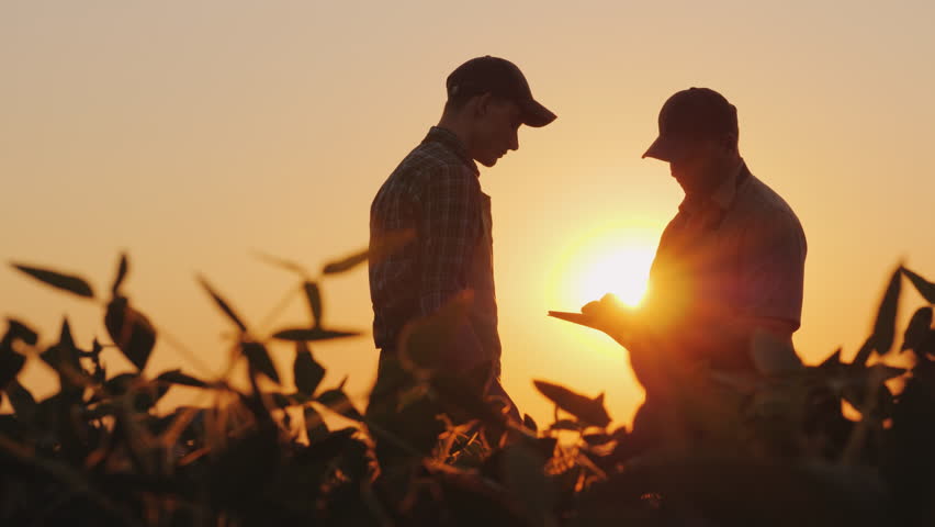 Two farmers talk on the field, then shake hands. Use a tablet Royalty-Free Stock Footage #1016310748