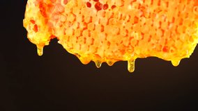 Honey dripping from the honeycomb wax, pouring liquid thick organic honey drops over dark background. Close-up. Healthy food concept, 4K UHD video