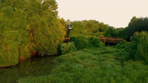 Aerial scene move upward from dense vegetation bathed in the warm glow of a sunrise or sunset and distant wooden foot bridge in the distance with a person walking over it.