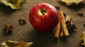 From above shot of ripe red shiny apple on canvas napkin with aromatic cinnamon sticks and anise stars - Powered by Shutterstock - Get 15% off with code: PIKWIZARD15