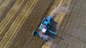 Harvesting on the wheat field. Aerial footage. Top view.