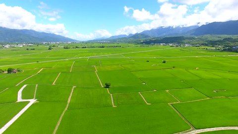 aerial view of rice field valley. taiwan.