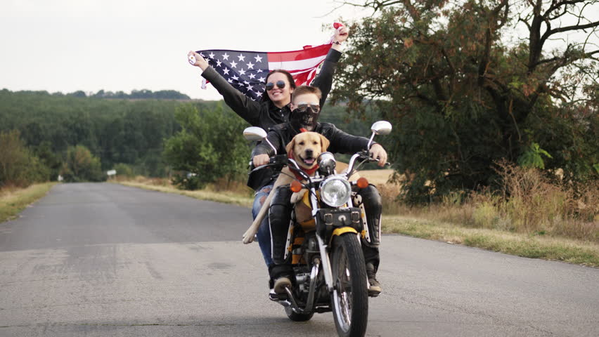 171 Dog riding a motorcycle Stock Video Footage - 4K and HD Video Clips ...
