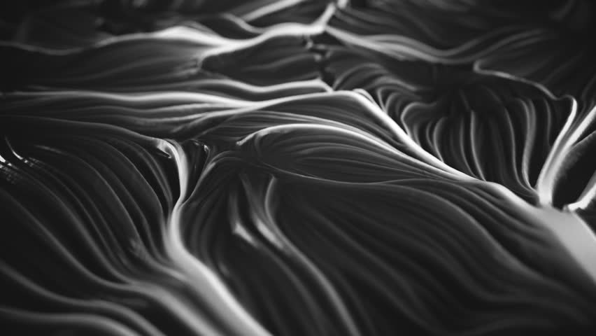4K Abstract Muscle Tissue. Seamless Loop | Shutterstock HD Video #1016419087