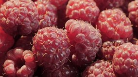 Ripe fresh and juicy organic raspberries close-up. Raspberry rotation background. Rotation 360 degrees
