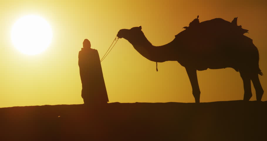 Camel Driver Walking In Desert Stock Footage Video 100 Royalty Free 1016440015 Shutterstock