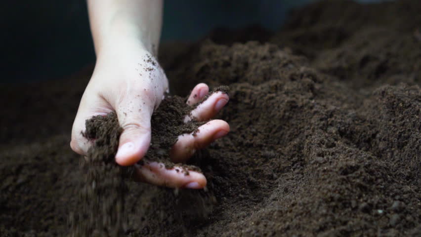 Farmer hand holding and pouring black organic soil in slow motion Royalty-Free Stock Footage #1016461426