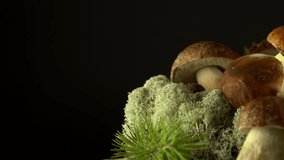 Forest mushrooms. Cepes. Natural product. Delicacy. Rotation. 4K.