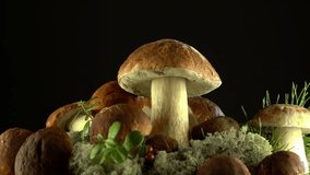 Forest mushrooms. Cepes. Natural product. Delicacy. Rotation. 4K.