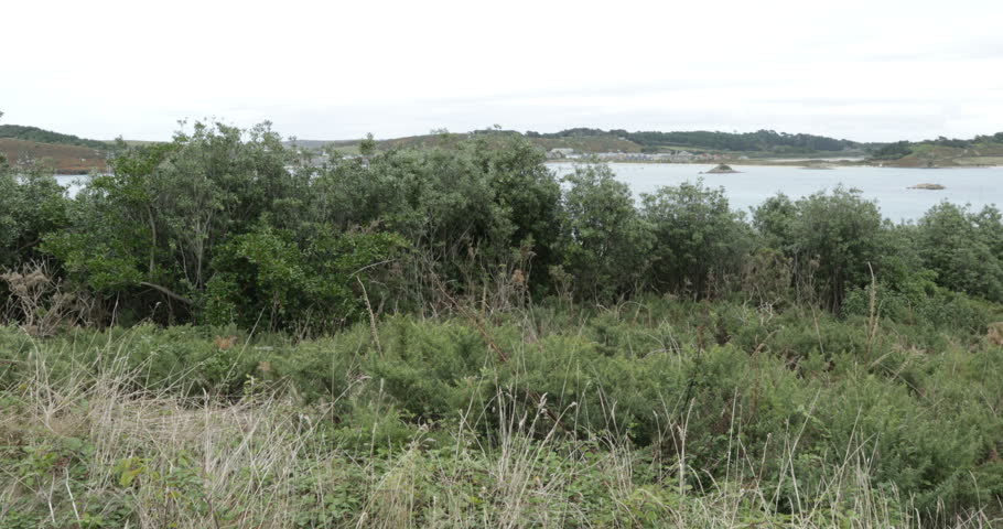 The island of Bryher on the Isles of Scilly.