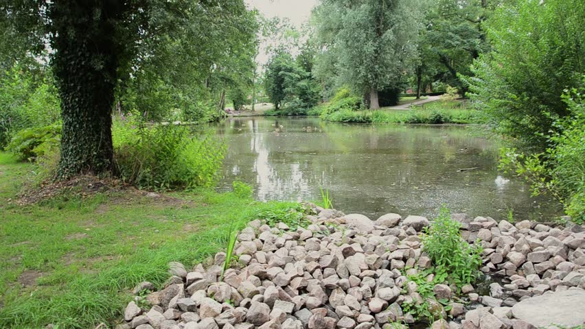 Pond in a German park with ducks swimming in the background