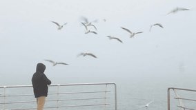 Little kid in black winter coat feeding hungry seagulls outdoors in foggy and misty rainy sea water landscape. Real time video footage.