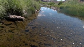 Slow motion moving footage through a clear, rocky river
