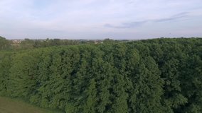 4K. Aerial view Lake with a green island. Sunset sunset view from the air to a beautiful island with large trees. Place location Poland.