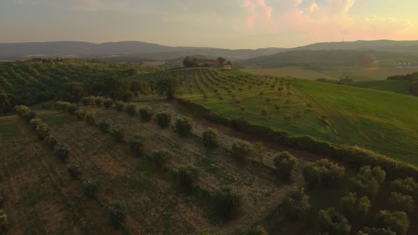 An aerial shot of a field and a house with pool in Tuscany with a view of the mountain landscape on the background.