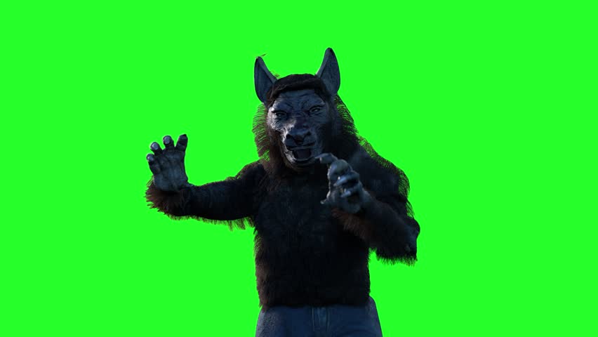 Werewolf On a Green Background Stock Footage Video (100% Royalty-free