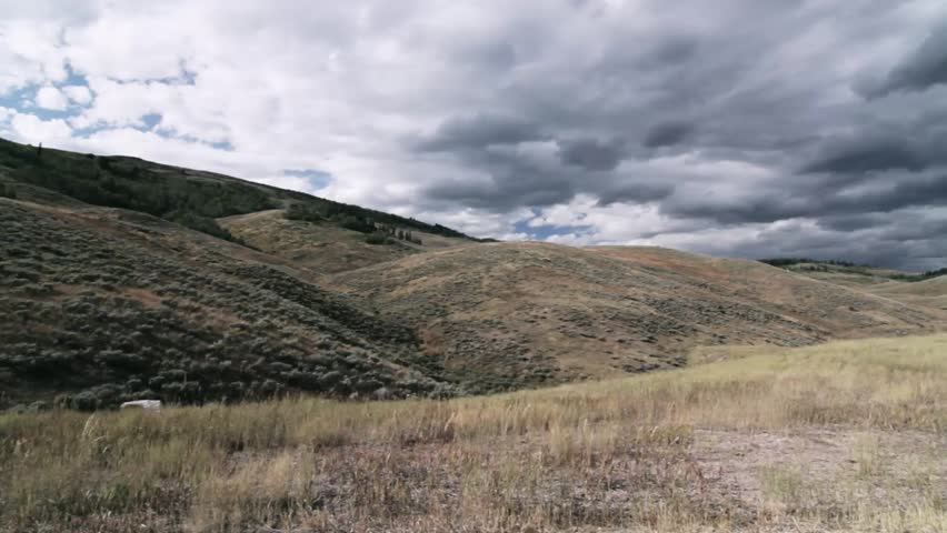 Bridger National Park, Wyoming, United States, graded version. Graded and/or stabilized version. 
