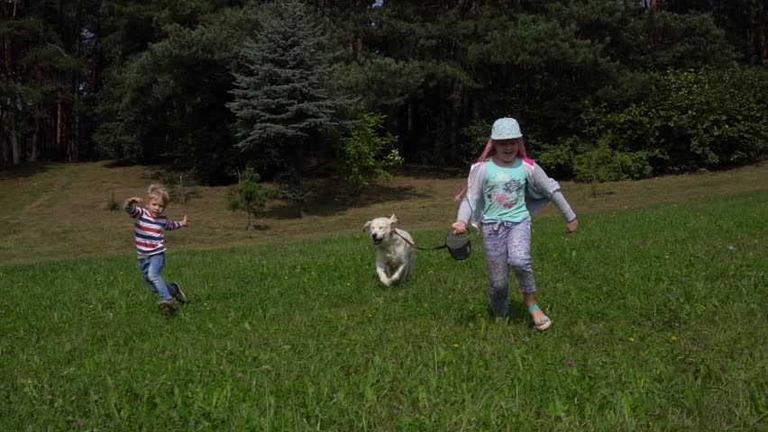 Happy children and a beautiful dog running around the field over grass | Shutterstock HD Video #1016556796