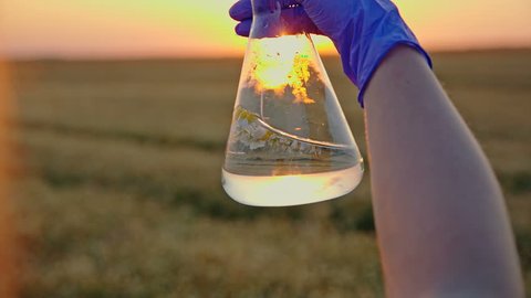 Close-up of a biologist's hand holds a test tube with a liquid in the sunset. The concept of medicinal plants