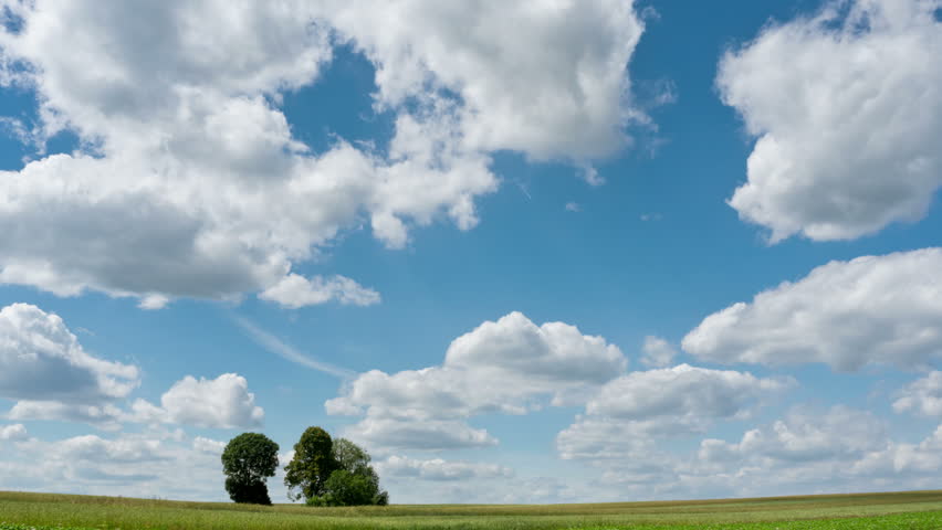 Time lapse country wheat fields and scenic trees and clouds. Spring day in countryside in Poland. Camera locked down.