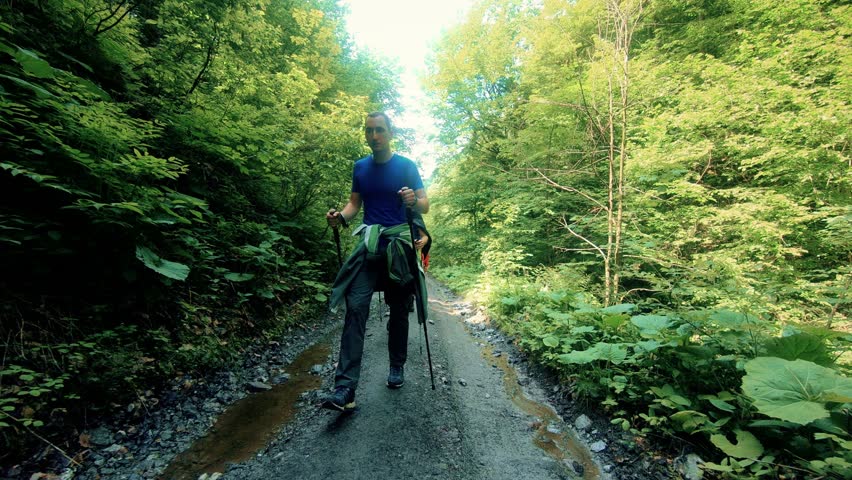 a group of tourists travelers walking through the summer forest