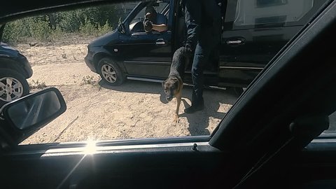 Detention of the criminal. The dog jumps into the car delays the criminal