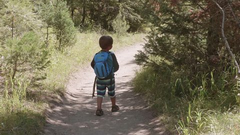 A slow motion shot of a cute little boy walking on a hiking trail through a national park forest