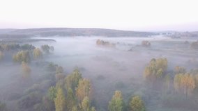 4k AERIAL: Flight over foggy meadow at autumnal morning. D-LOG raw drone footage.