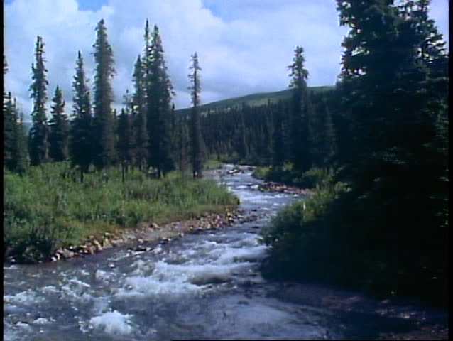 DENALI NATIONAL PARK, ALASKA, 1989, medium shot, scenery, river rushing