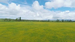Panoramic landscape of green field under blue cloudy sky, Georgia, Kakheti