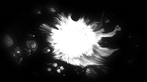 Beautiful pure white watercolor ink drops transition on black background, paint bleed, circle organic flow expanding, splatter spreading. Perfect for motion graphics, digital composition