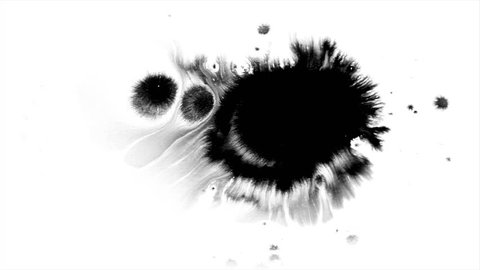 Beautiful pure black watercolor ink drops transition on white background, paint bleed, circle organic flow expanding, splatter spreading. Perfect for motion graphics, digital composition
