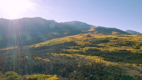 4k Aerial drone footage - Beautiful yellow Fall Autumn aspen trees of the Colorado Rocky Mountains.  Twin Lakes, Sawatch Range