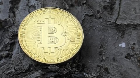 btc bit