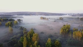 4k AERIAL: Flight over foggy autumnal morning on polish meadows. 3840x2160, 30fps.