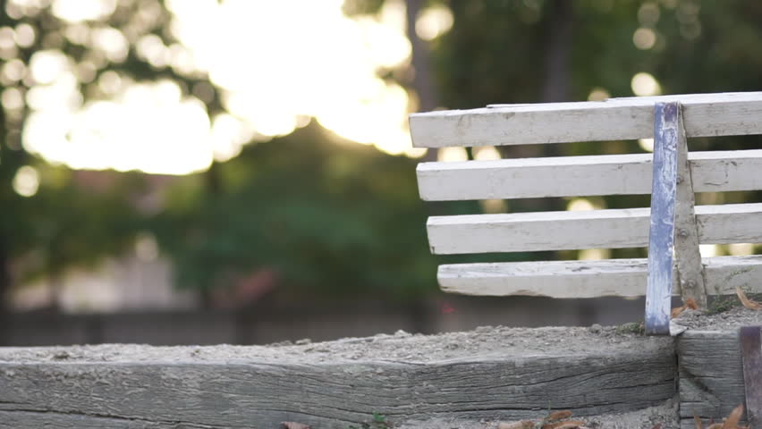 Horse galloping in the background behind wooden fence in slow motion.