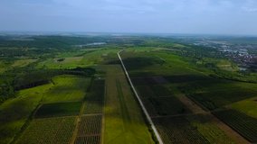 Flying over a flat greenish land of wine in Hungary. Aerial.