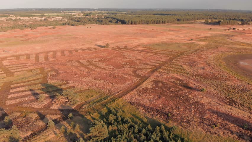 Flying over dry moorlands containing interesting old natural patterns.