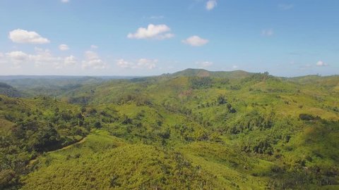 Aerial shot of rainforest in Madagascar.