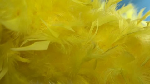 yellow cloud of feathers. close-up macro. Selective focus, blurred focus, abstraction. super slow motion