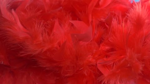 red cloud of feathers. close-up macro. Selective focus, blurred focus, abstraction. super slow motion. color background.