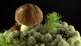 Forest mushrooms. Cepes. Natural product. Delicacy Rotation 4K.