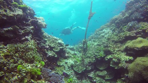 SCUBA Diving Fiji - Following a Dive Master over the Coral Reef